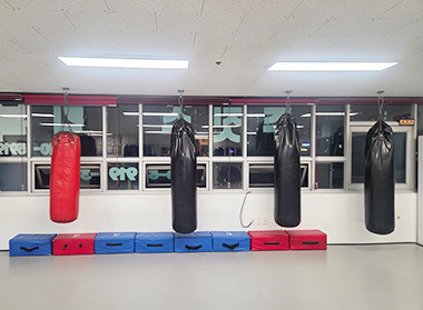 33:7 스틸가드 주짓수